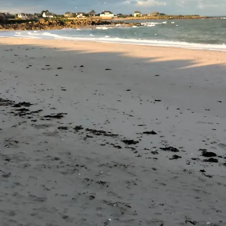 La Palmeraie De Brevy Reville